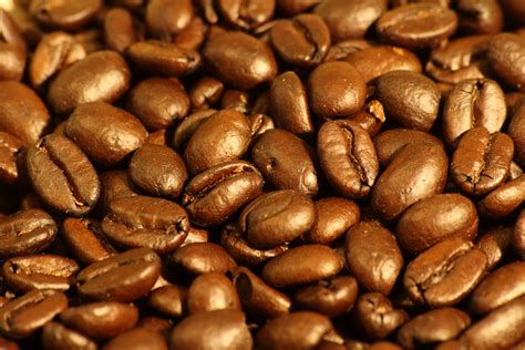Espresso bean. Things To Know About Espresso bean. 